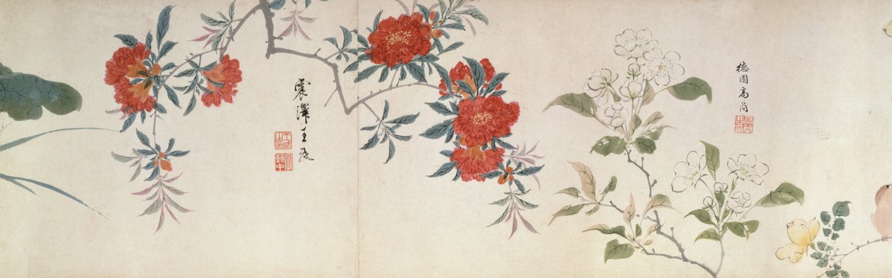 Blomster, Handscroll (blekk og farge på papir) av Qing Dynasty Chinese School