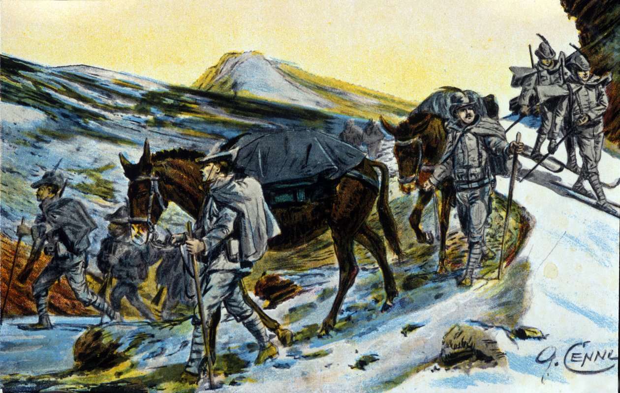 Første verdenskrig: gruppe italienske alpejegere i anerkjennelse med muldyrene sine i 1915. Illustrasjon av Quinto Cenni (1845-1917) av Quinto Cenni