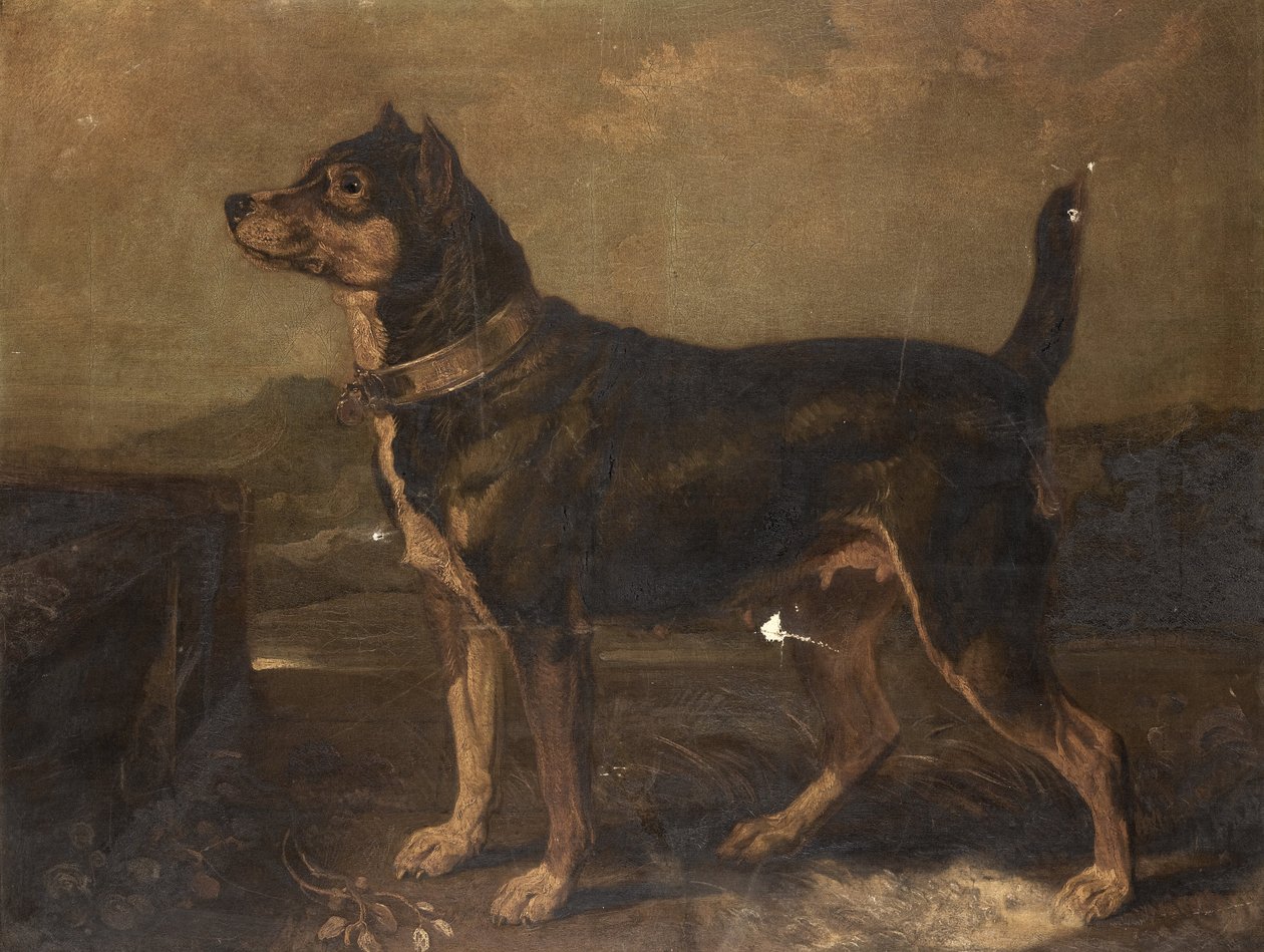 En terrier i et landskap av R.A. James Ward