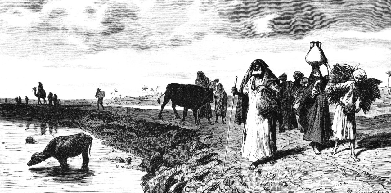 En Chaussee i deltaet, på tidspunktet for flommen, 1880 av R. Brandamour