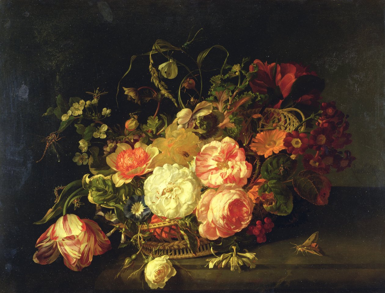 Blomster og insekter, 1711 av Rachel Ruysch