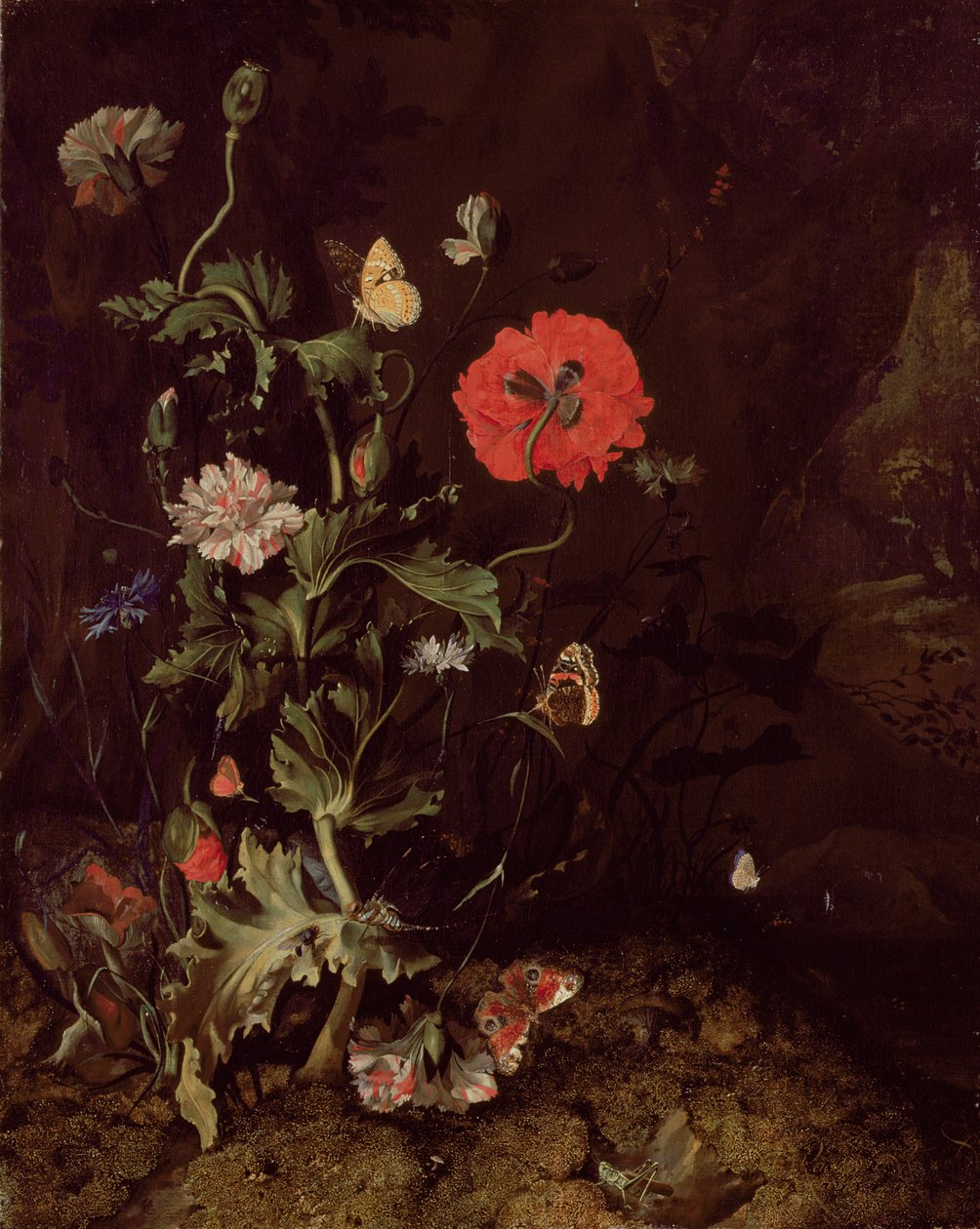 Skoggulv stilleben med blomster og sommerfugler av Rachel Ruysch