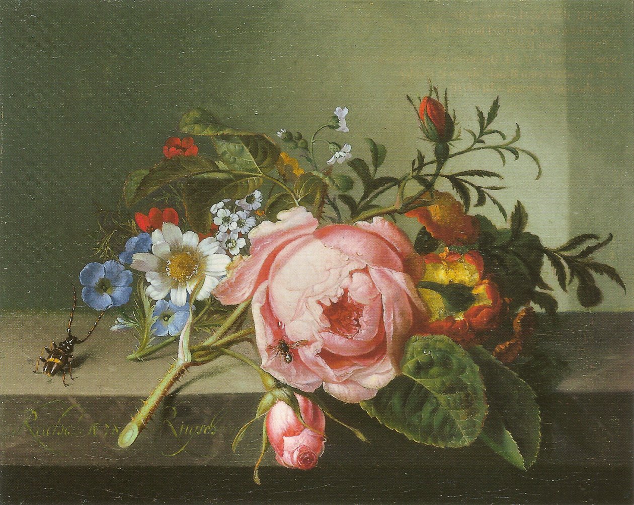Rosegren med bille og bie av Rachel Ruysch