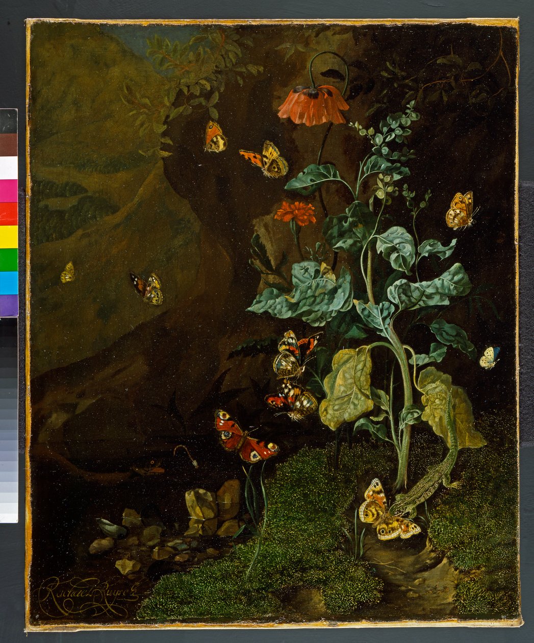 Et stilleben med blomster, sommerfugler og en øgle i en dell, før 1750 av Rachel Ruysch