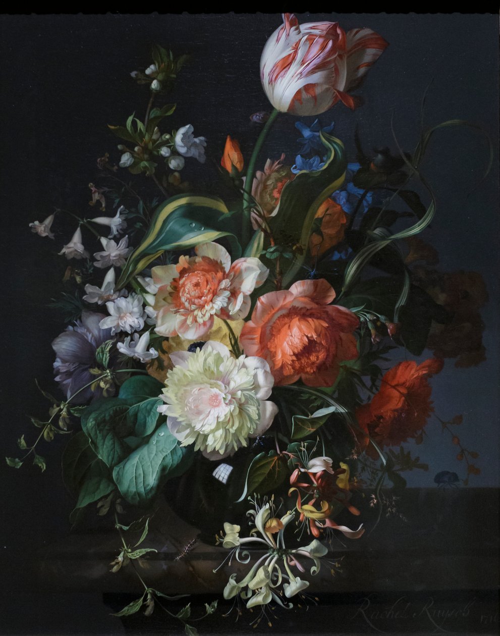  av Rachel Ruysch