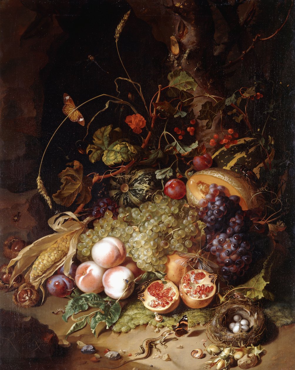 Stilleben med frukt og insekter, av Rachel Ruysch