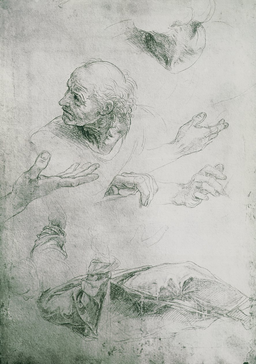 Studier for figuren til Bramante (1444-1515) av Raffaello Sanzio Raphael
