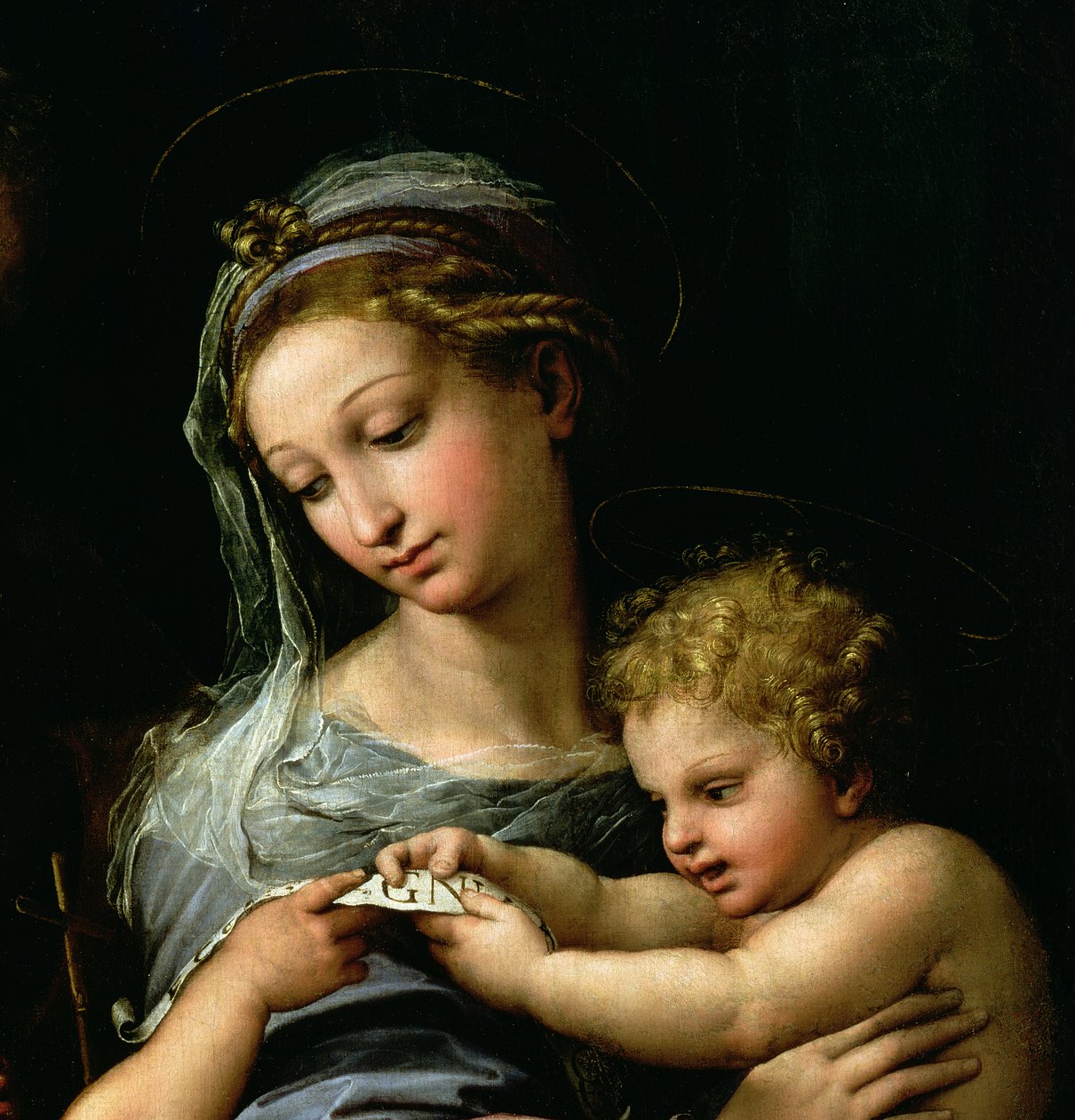 The Virgin of the Rose, ca. 1518 (detalj av 3423) av Raffaello Sanzio Raphael