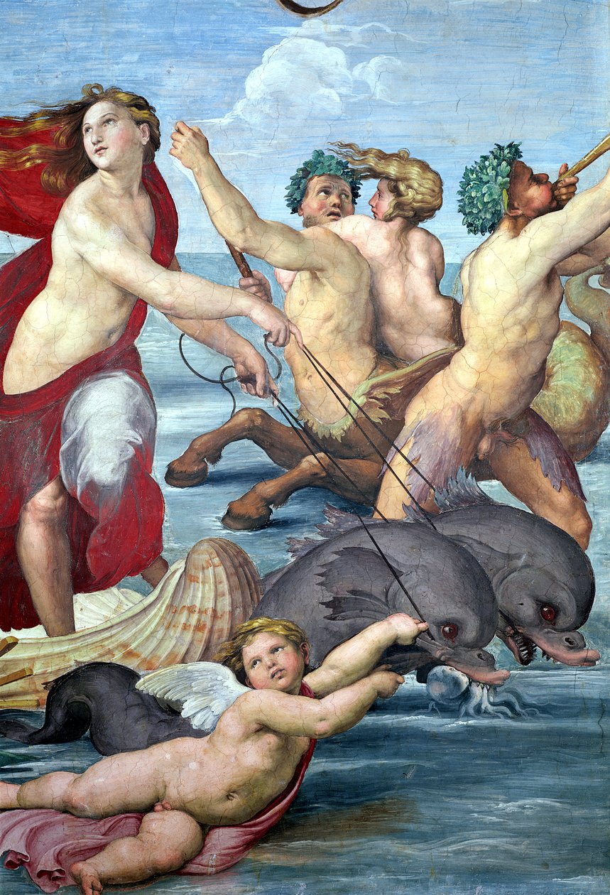 Galatea, detalj av havmenn og delfiner, 1506 freskomaleri av 56473 av Raffaello Sanzio Raphael