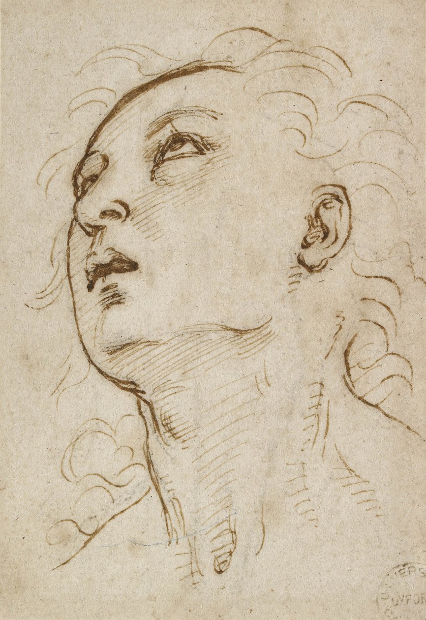 Leder for en ung mann som stirrer oppover, ca. 1497-1504 (penn og brunt blekk over metallspissen på krempapir) av Raffaello Sanzio Raphael