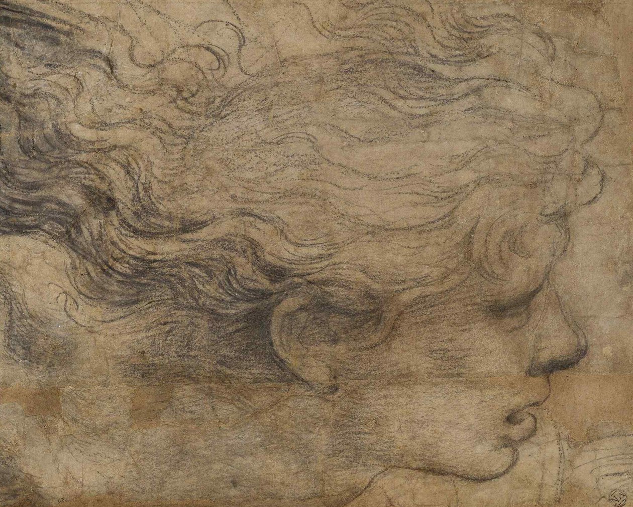 Hodet til en engel. av Raffaello Sanzio Raphael