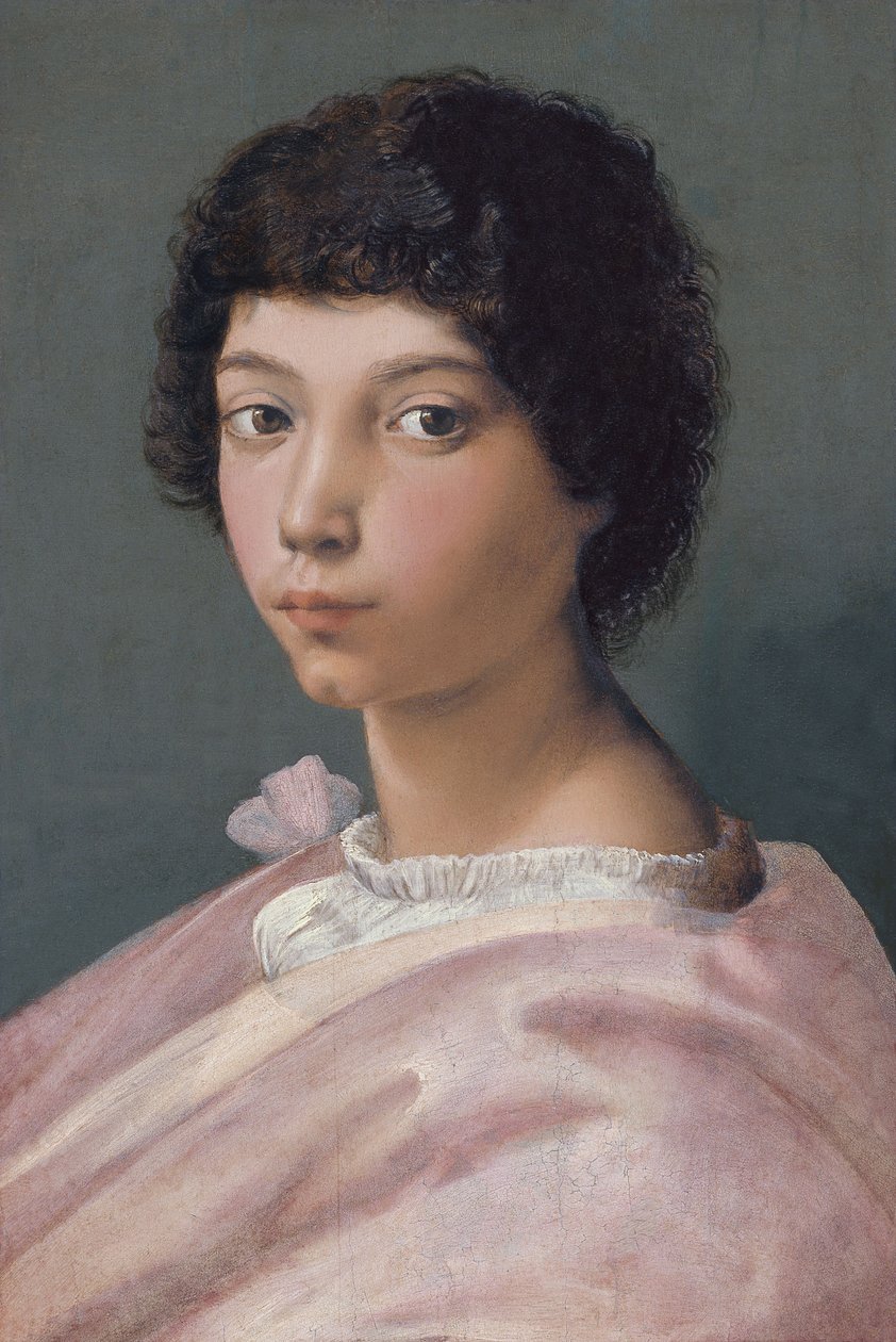 Portrett av en ung mann av Raffaello Sanzio Raphael