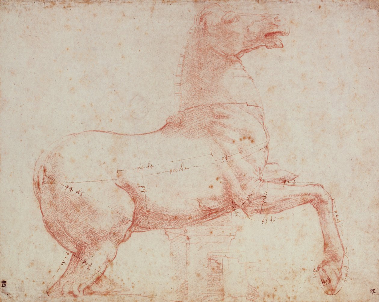 Studie for Marble Horse of the Quirinal (rødt kritt på papir) av Raffaello Sanzio Raphael