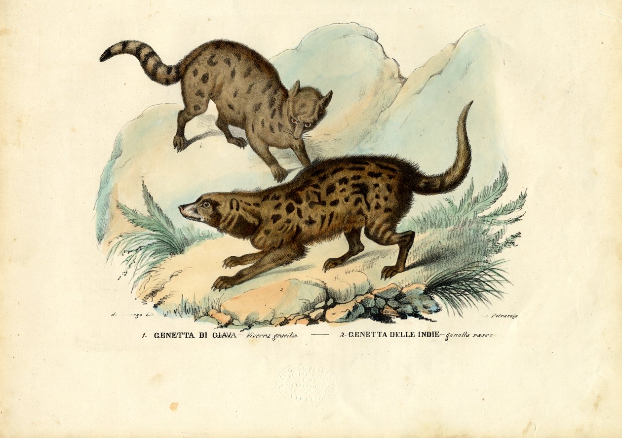 Genet, 1863-79 av Raimundo Petraroja