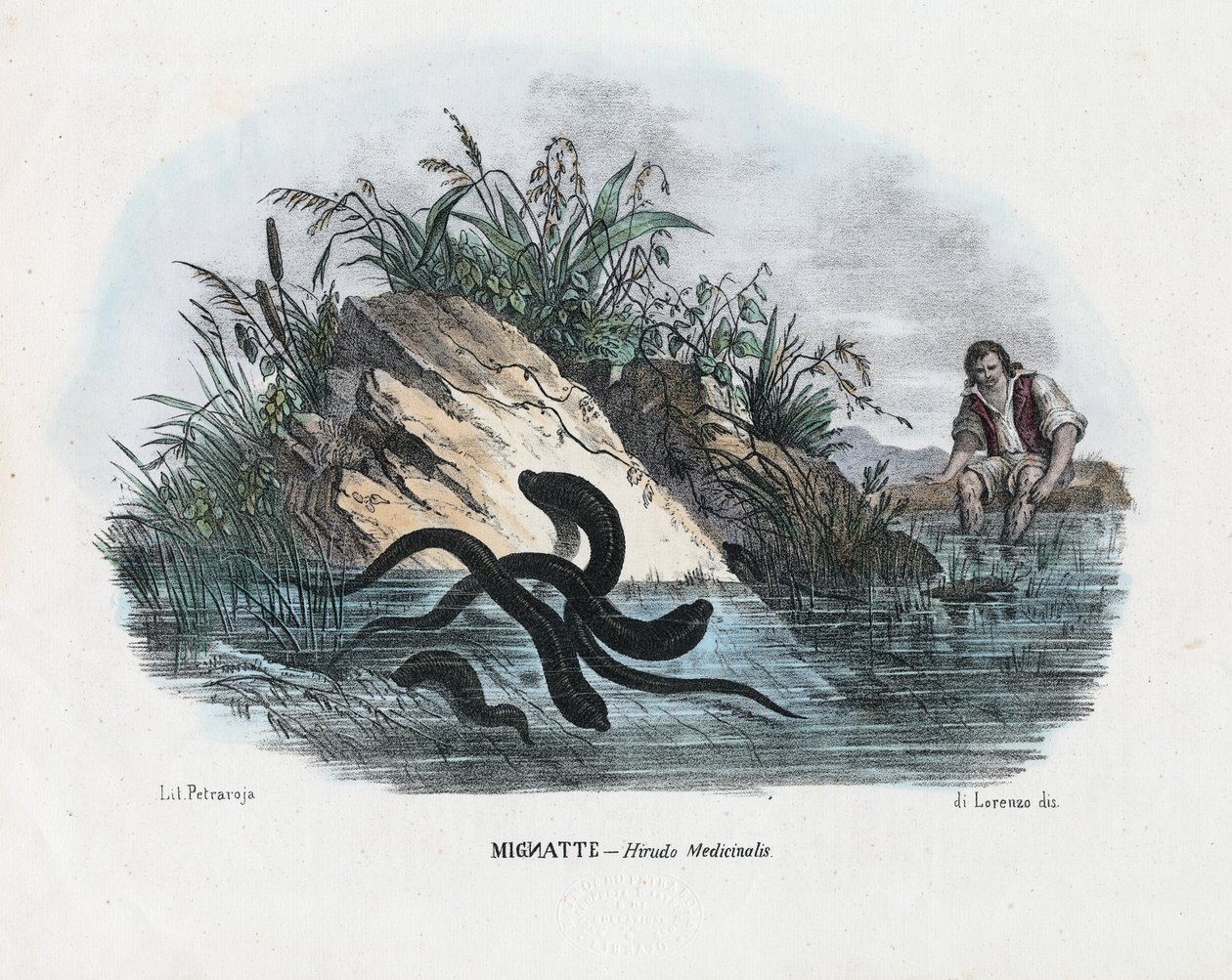 Igler, 1863-79 av Raimundo Petraroja
