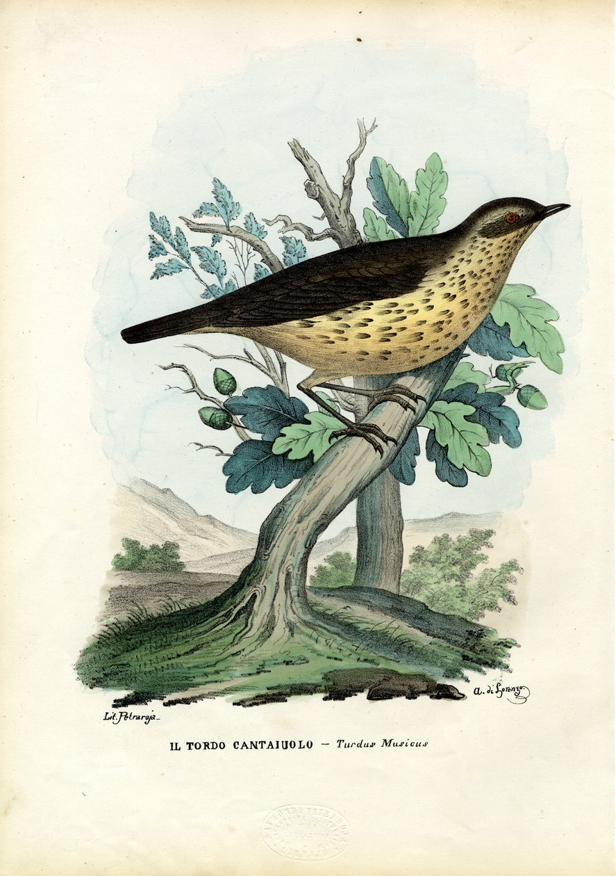 Sangtrost, 1863-79 av Raimundo Petraroja