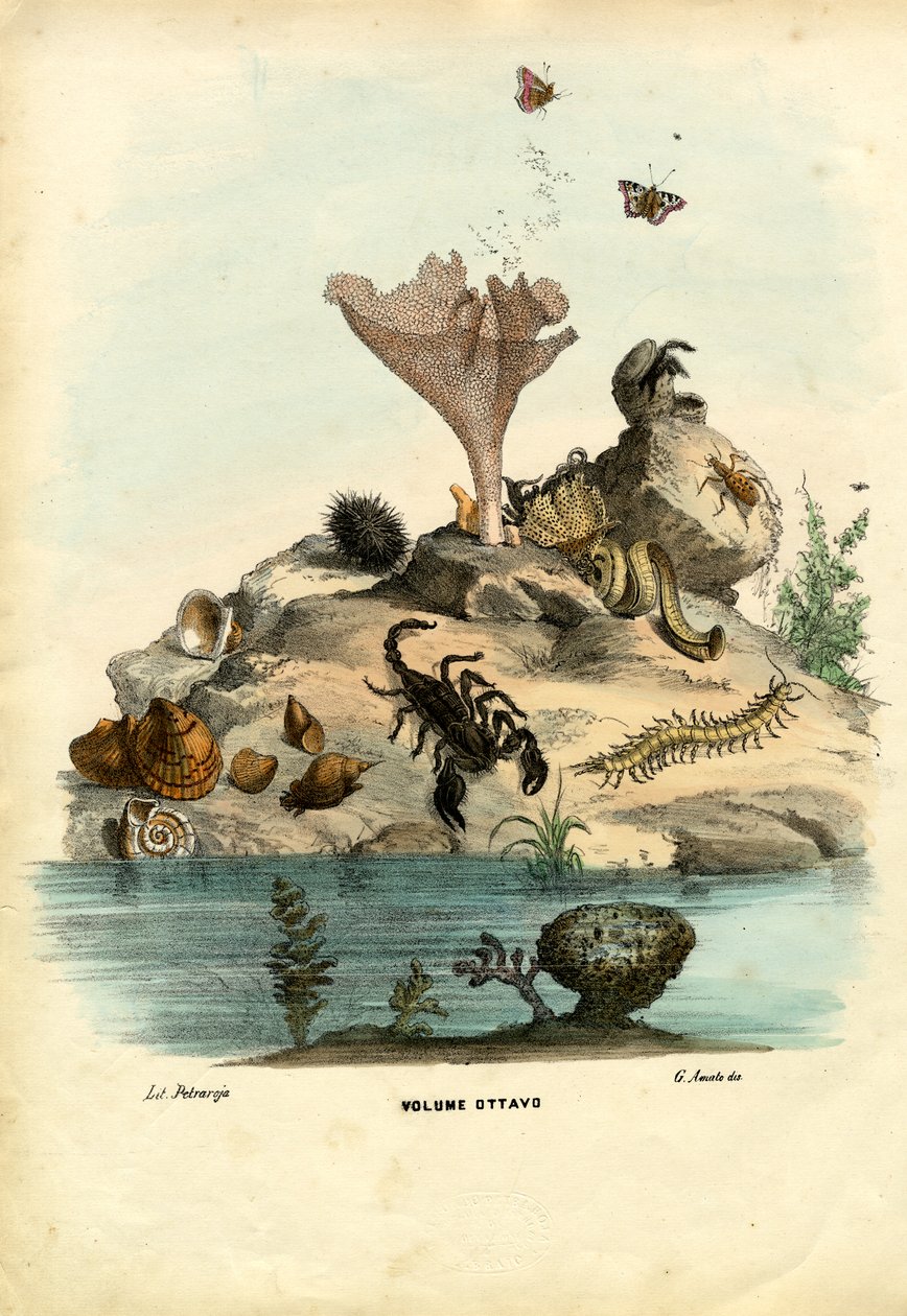 Tittelblad, 1863-79 av Raimundo Petraroja