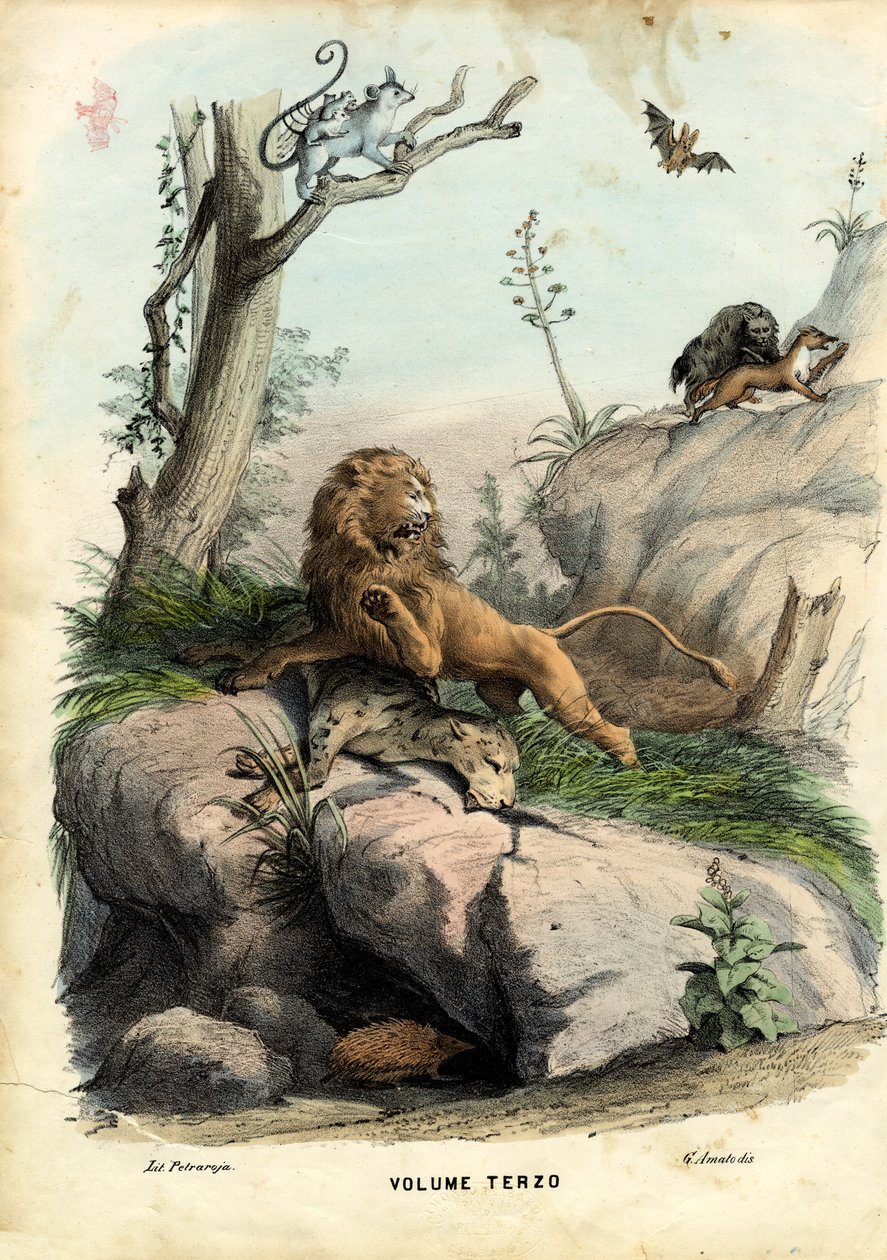 Tittelblad, 1863-79 av Raimundo Petraroja