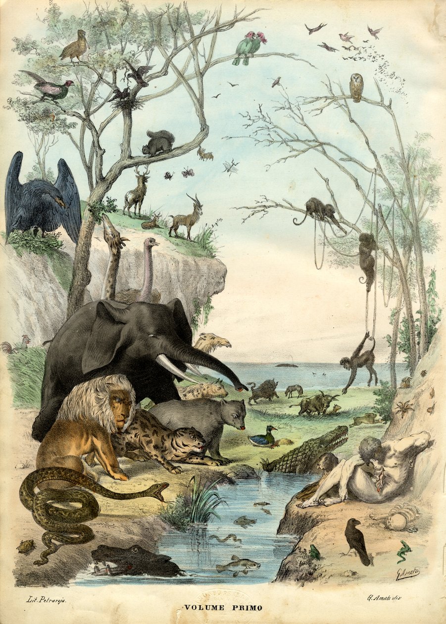 Tittelblad, 1863-79 av Raimundo Petraroja