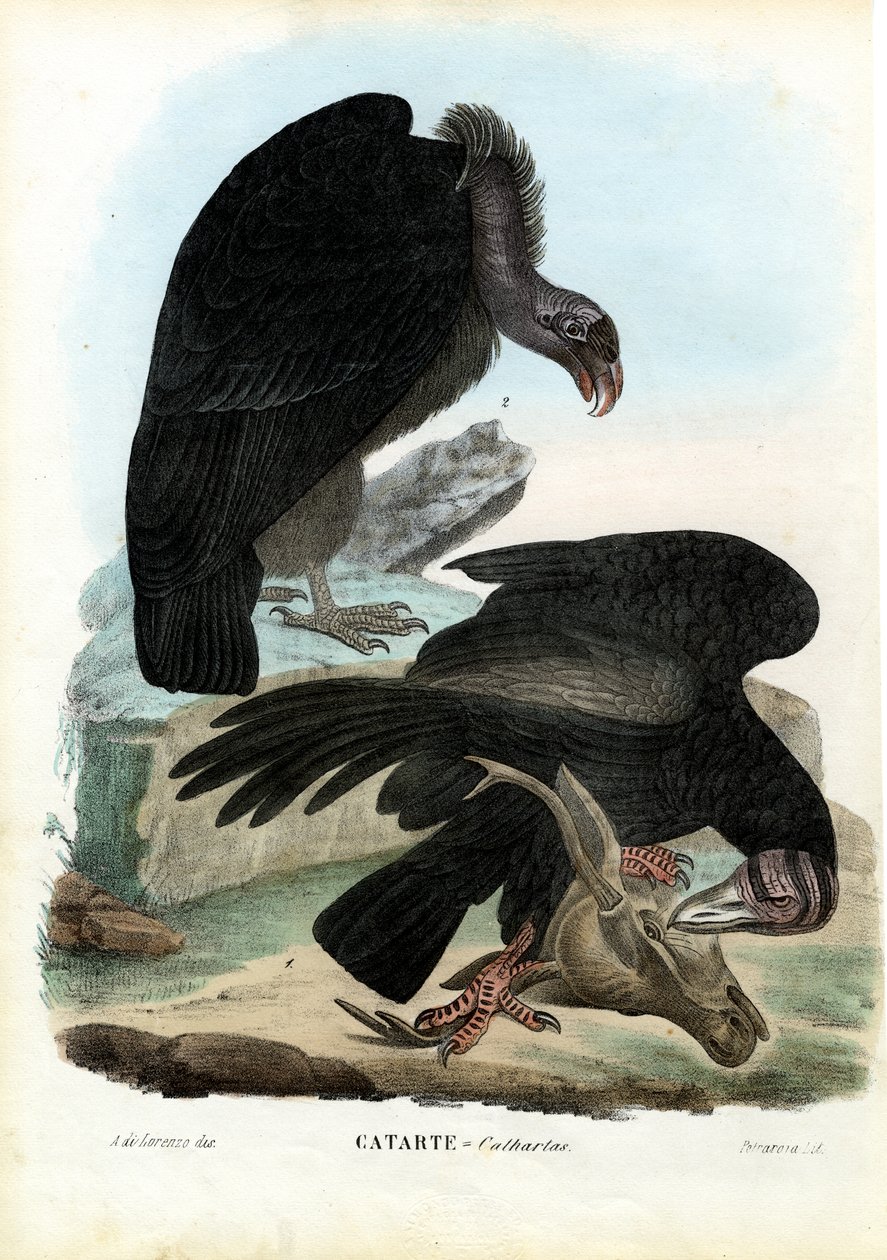 Gribber, 1863-79 av Raimundo Petraroja