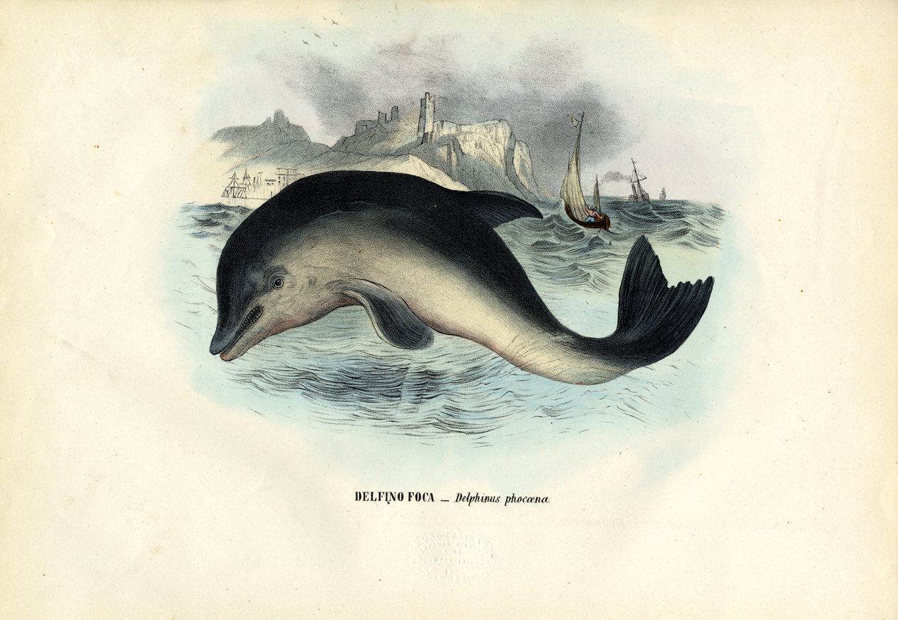Havnenise, 1863-79 av Raimundo Petraroja