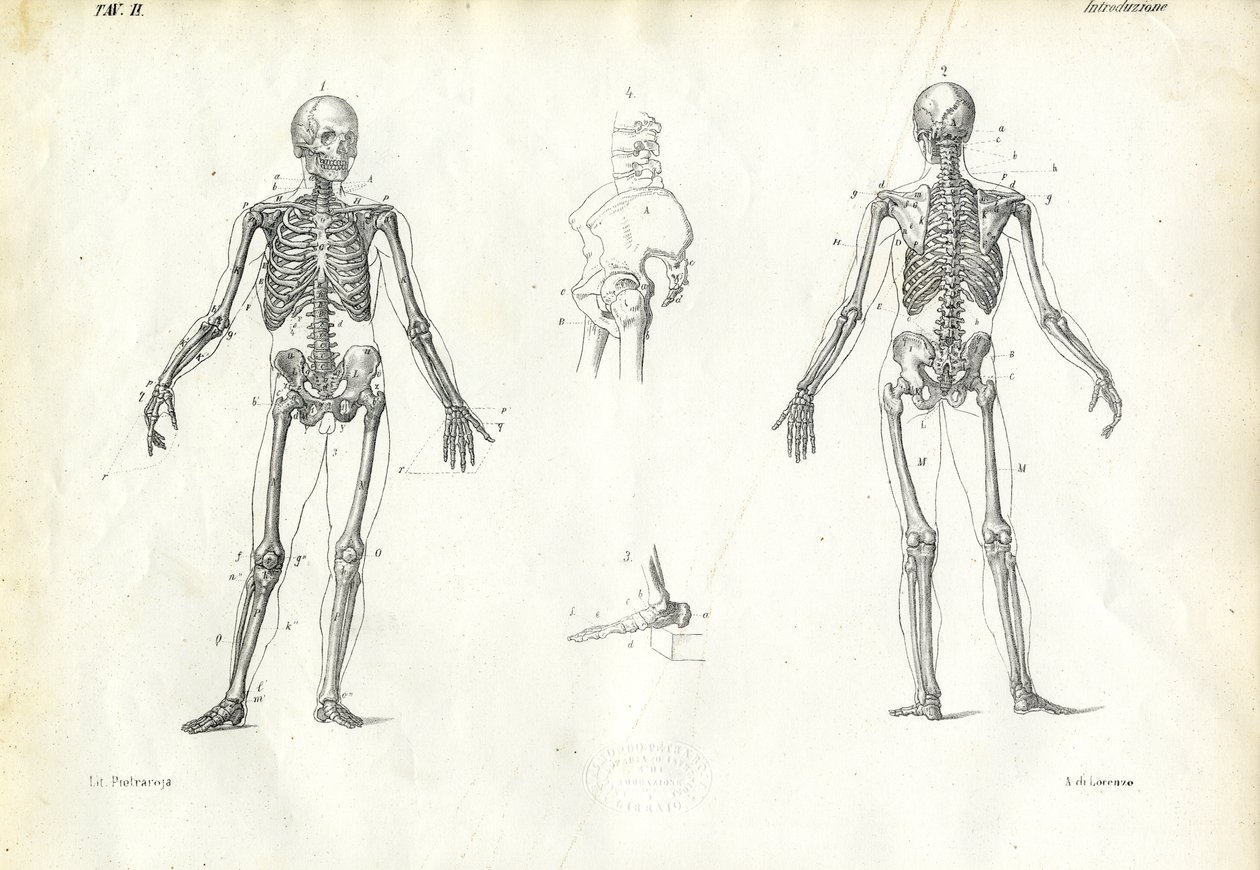 Menneske, 1863-79 av Raimundo Petraroja
