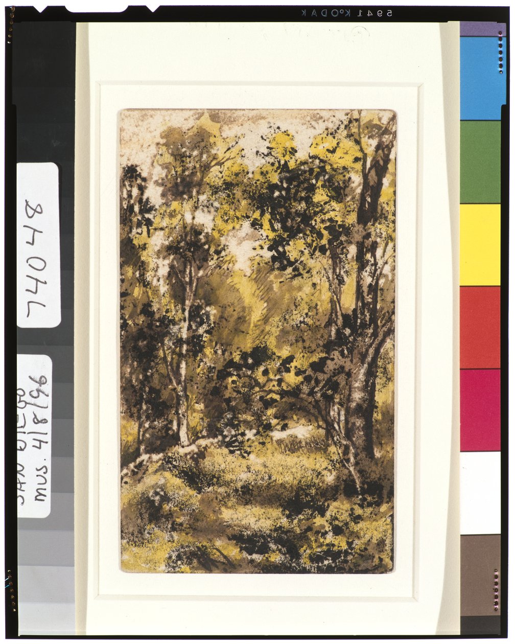 Skogscene, 1901-15 av Ralph Albert Blakelock