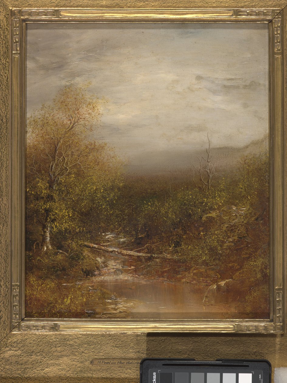 Pool In The Adirondacks (olje på lerret) av Ralph Albert Blakelock