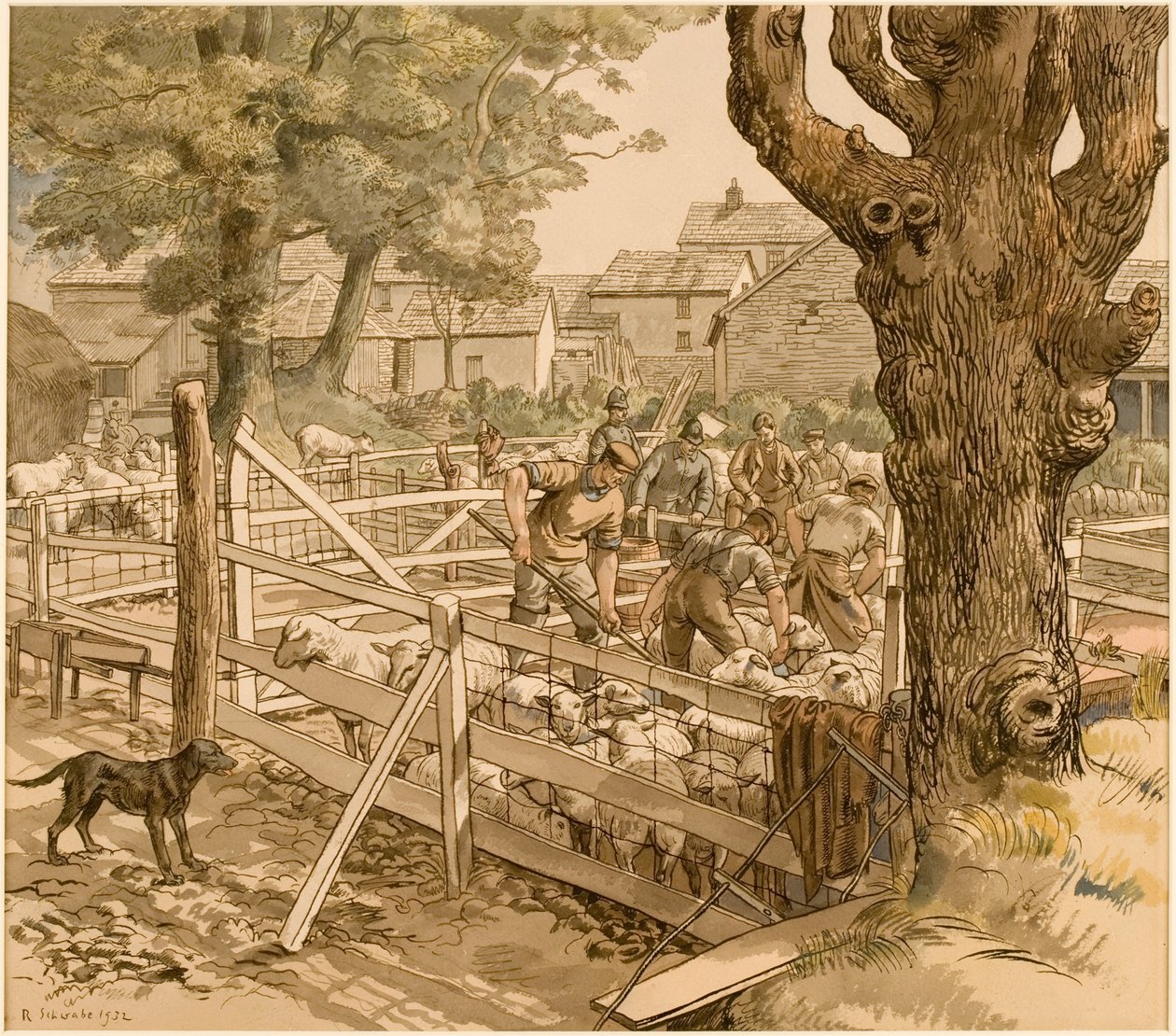Sauedypping, Cornwall av Randolph Schwabe