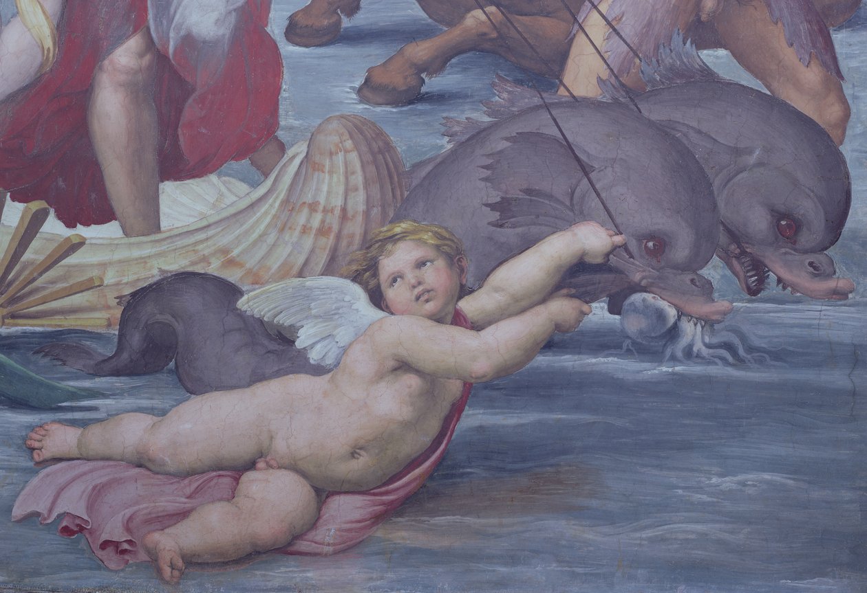 Galatea, detalj av putto og delfiner, 1506 freskodetalj av 56473 av Raffaello Sanzio Raphael