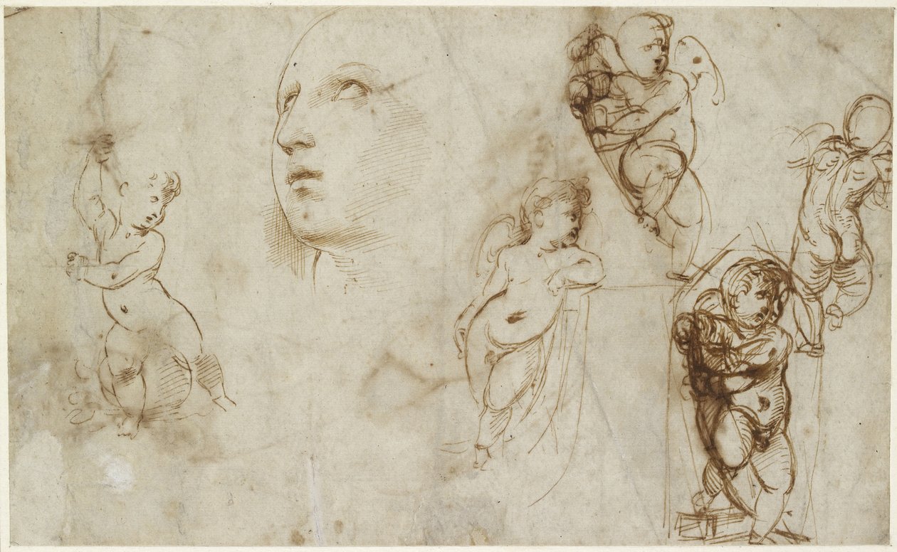 Recto: Et kvinnelig leder for Borghese-Beckford St Catherine og diverse putti, WA1846.177 av Raffaello Sanzio Raphael