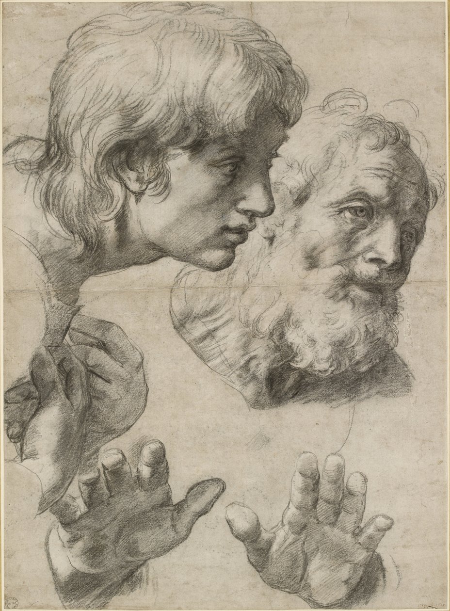 Studier av hodene til to apostler og deres hender, WA1846.209 av Raffaello Sanzio Raphael