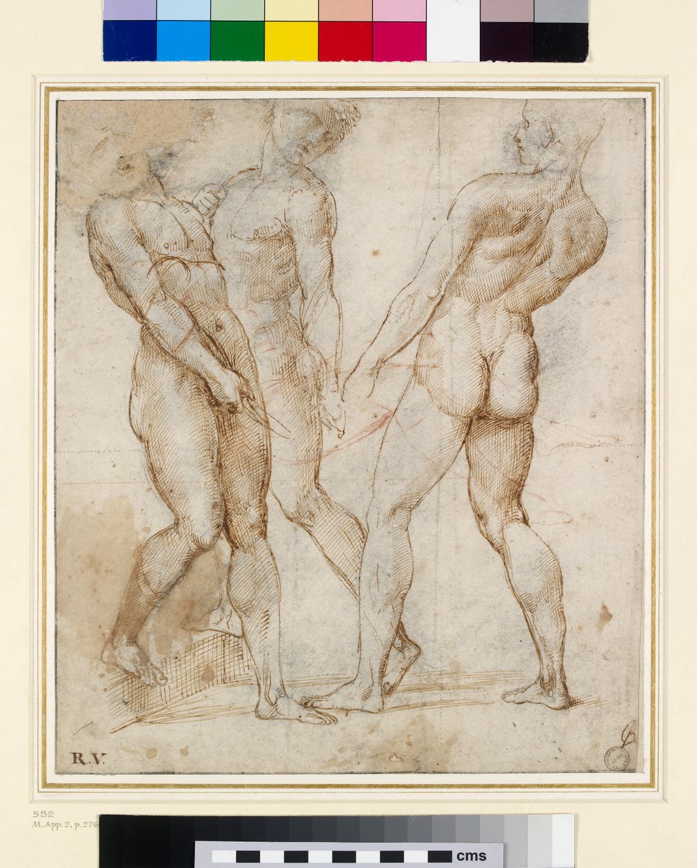 The Naken Bearers (Study for the Entombment) (penn og blekk med gouache på papir) av Raffaello Sanzio Raphael