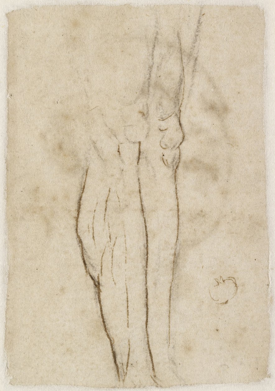 Verso: Skisse av et par ben, WA1846.156 av Raffaello Sanzio Raphael
