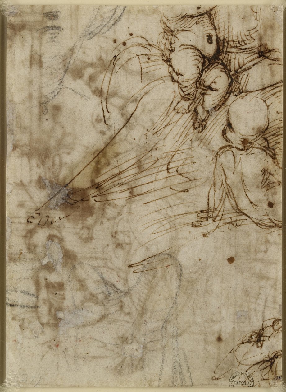 Verso: The Virgin, WA1846.162 av Raffaello Sanzio Raphael