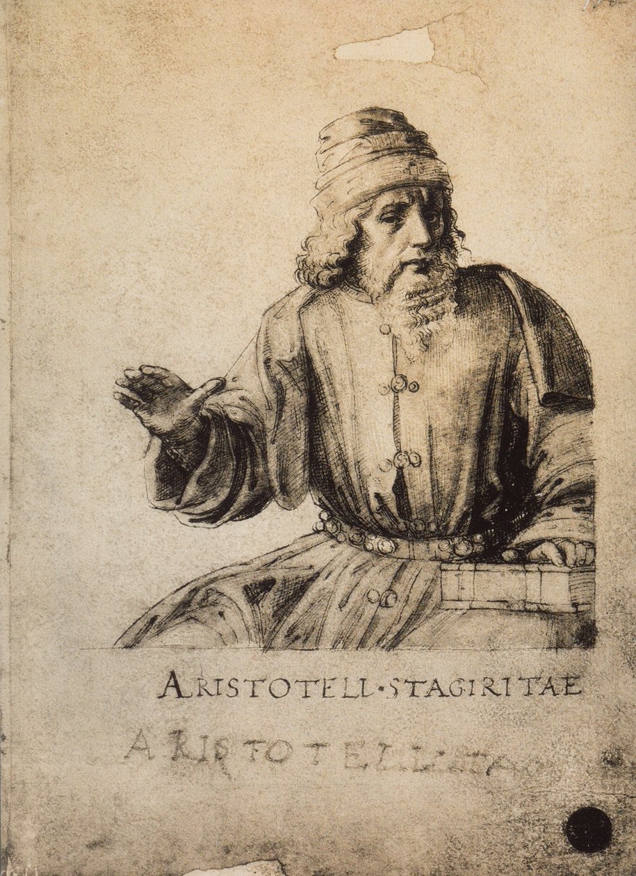 Aristoteles; tegning av Raphael. Gallerie dellAccademia, Venezia av Raffaello Sanzio Raphael