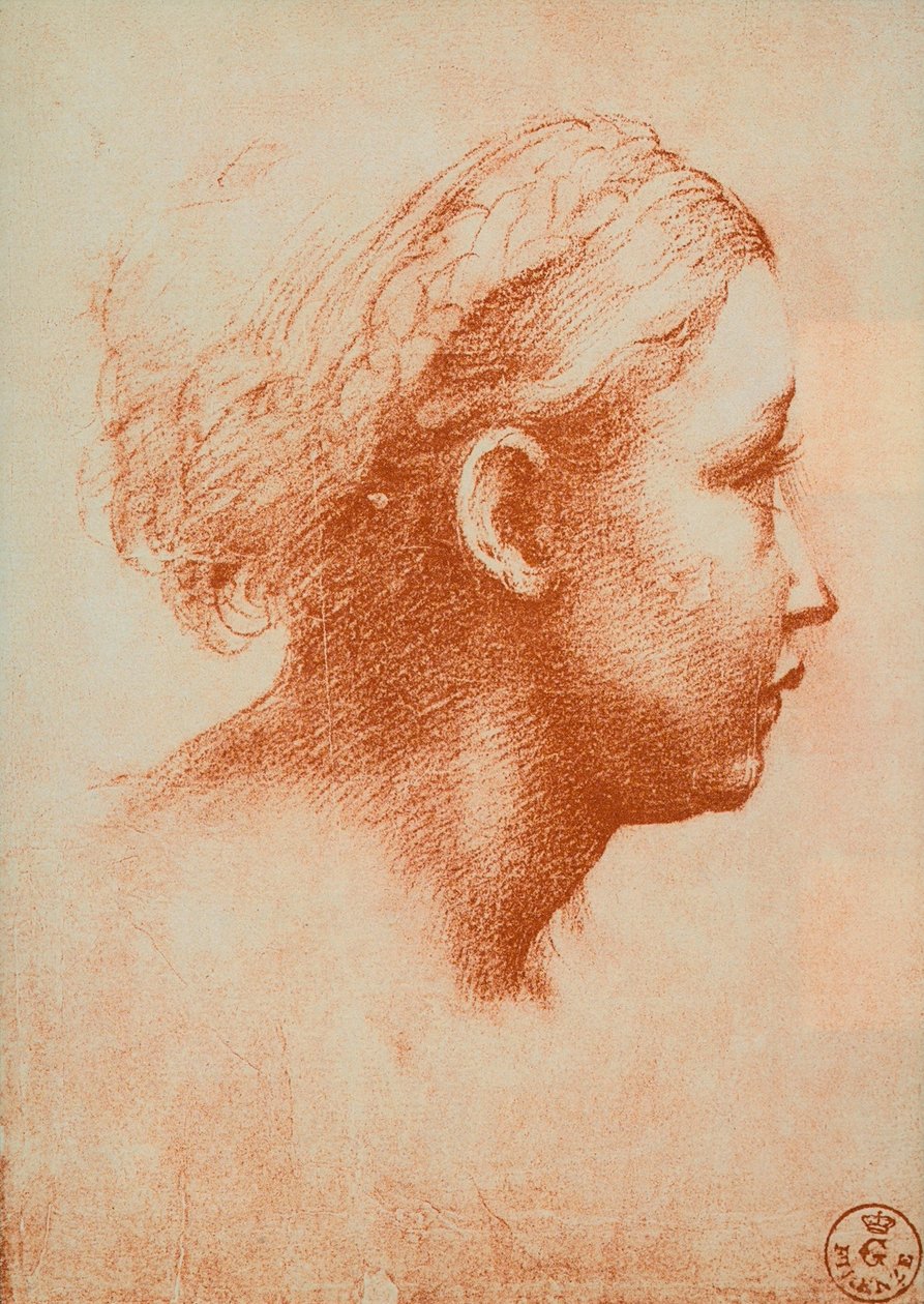 Kvinnelig hode i profil, tegning av Raphael. Kabinett for tegninger og trykk, Uffizi, Firenze av Raffaello Sanzio Raphael