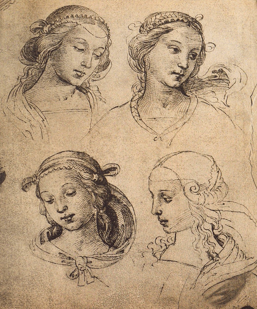 Studie av fire kvinnelige ansikter; tegning av Raphael. Gallerie dellAccademia, Venezia av Raffaello Sanzio Raphael