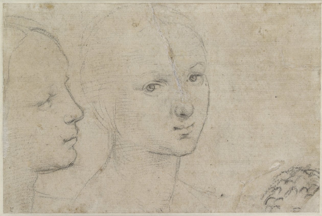 Verso: To studier av hodet til en ung kvinne, WA1846.157 (svart kritt på off-white papir) av Raffaello Sanzio Raphael