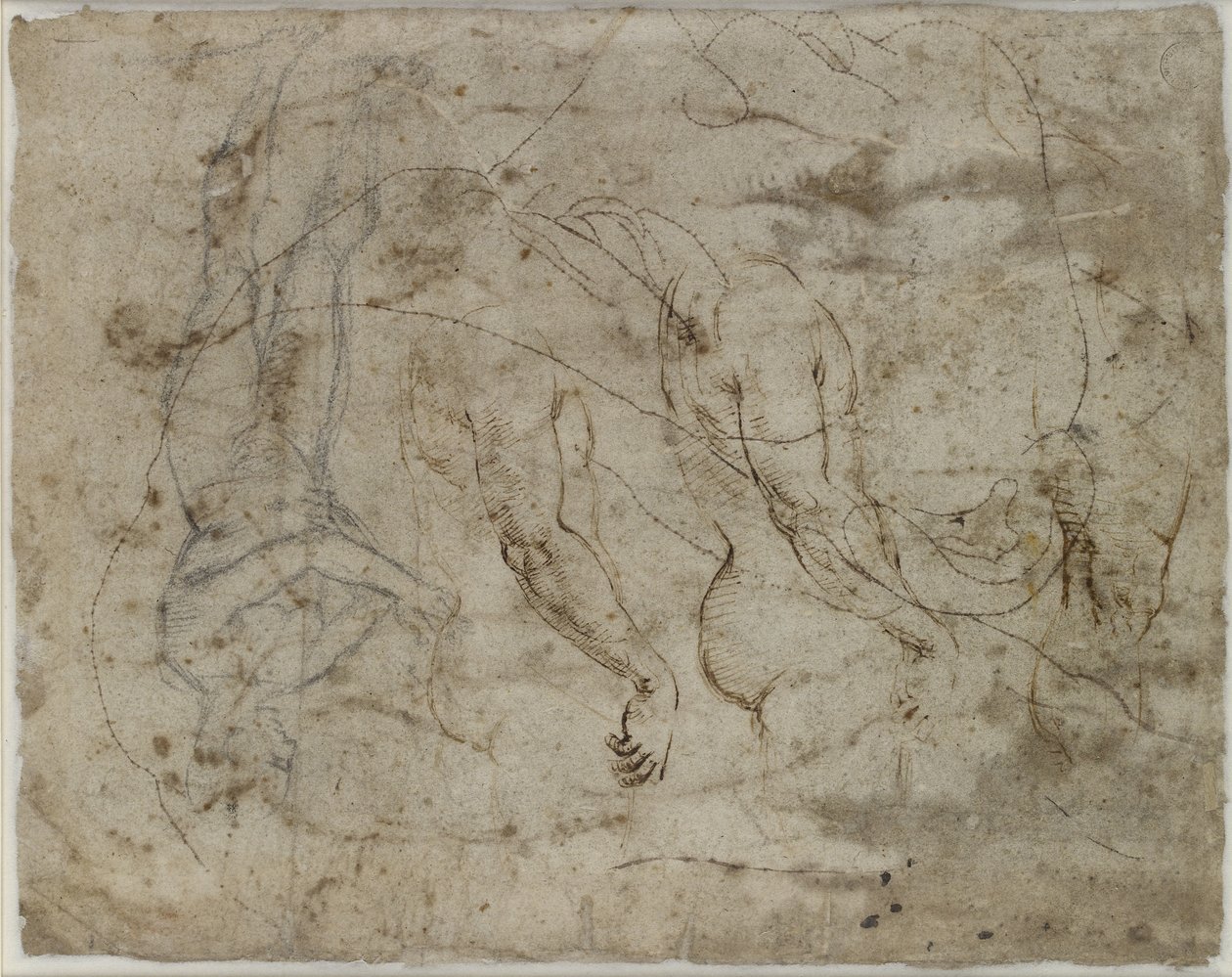 Verso: to studier av armer, en profil som ser oppover og en stående figur, WA1846.164 (penn og blekk, svart kritt, profilen stukket for overføring) av Raffaello Sanzio Raphael
