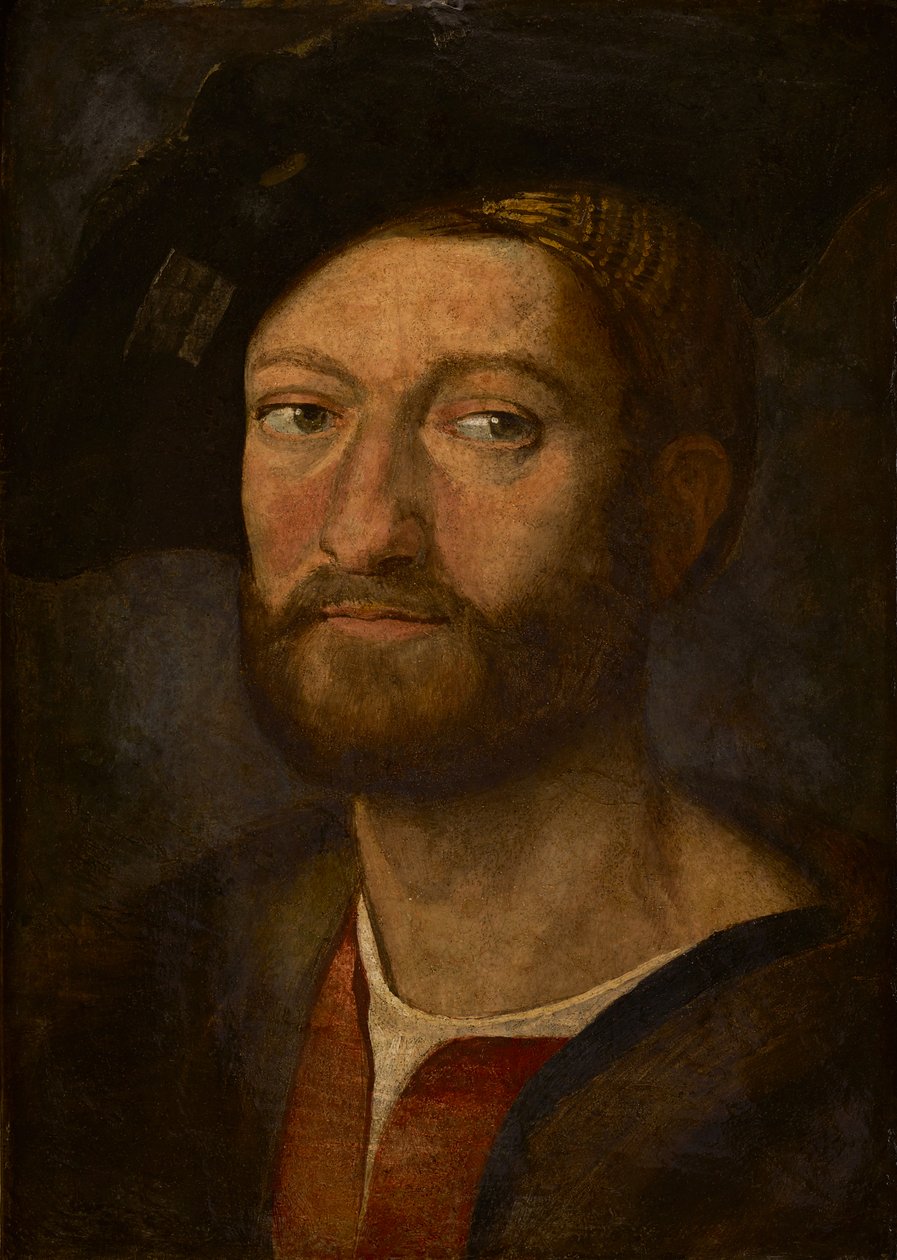 Portrett av en mann, sies å være Giuliano de Medici, hertugen av Nemours (olje på panel) av after Raphael