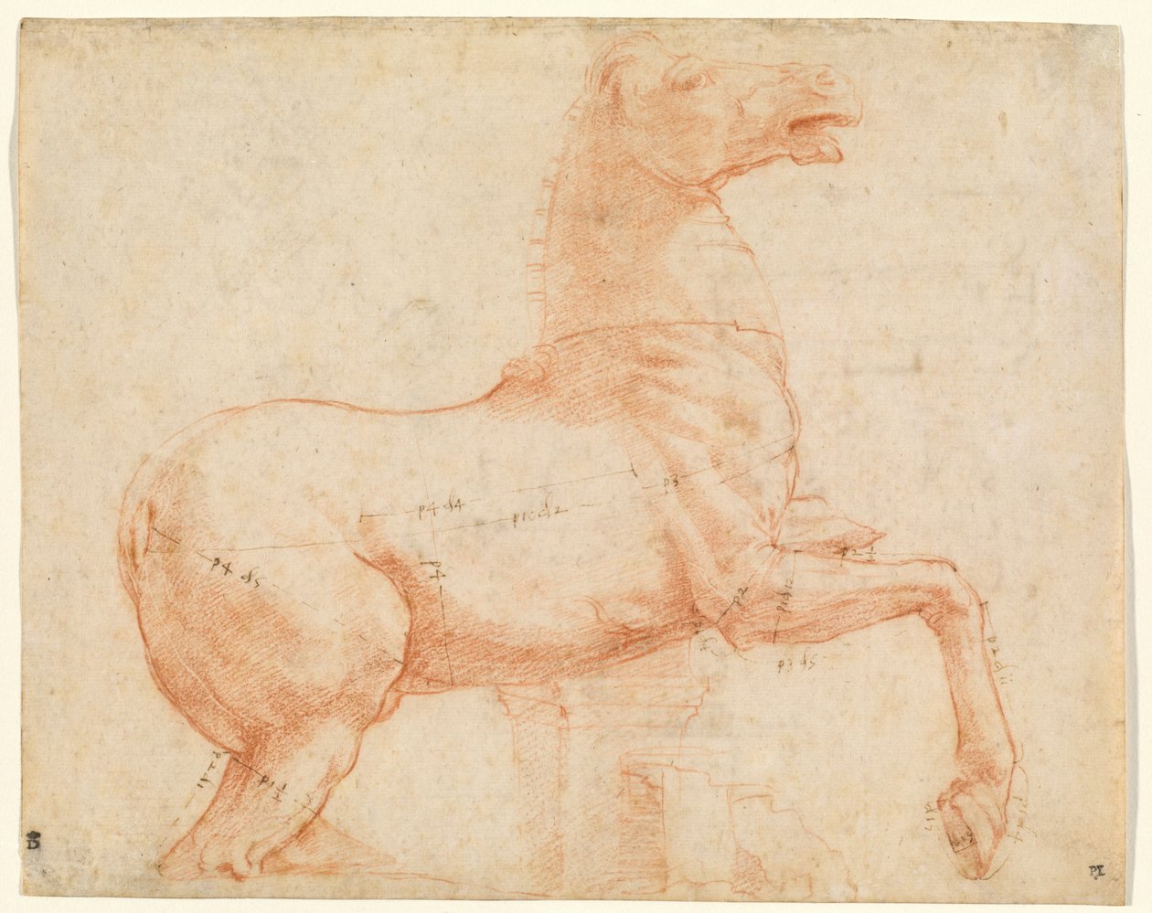 A Marble Horse on the Quirinal Hill (recto), ca. 1513 (rødt kritt, penn, brunt blekk, blyspiss og pekepenn) av Raphael (1483 1520)