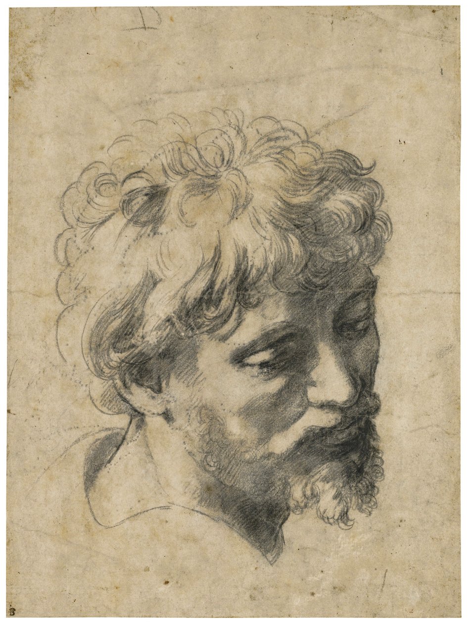 ""Portrett av en ung apostel"" (sjef for en ung apostel) Kull på papir av Raphael (Raffaello Sanzio) (1483-1520) Privat samling av Raphael