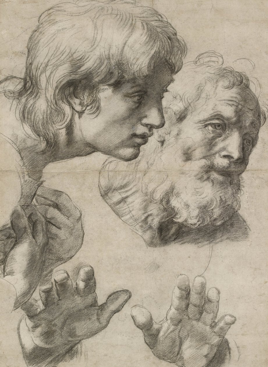 Studier av hodene til to apostler og deres hender (svart kritt berørt med hvitt på gråaktig papir) av Raphael
