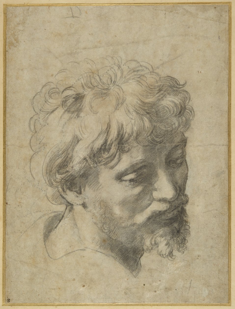 Studie for disippelen ytterst til venstre i 'The Transfiguration' (svart kritt på gråaktig papir) av Raphael