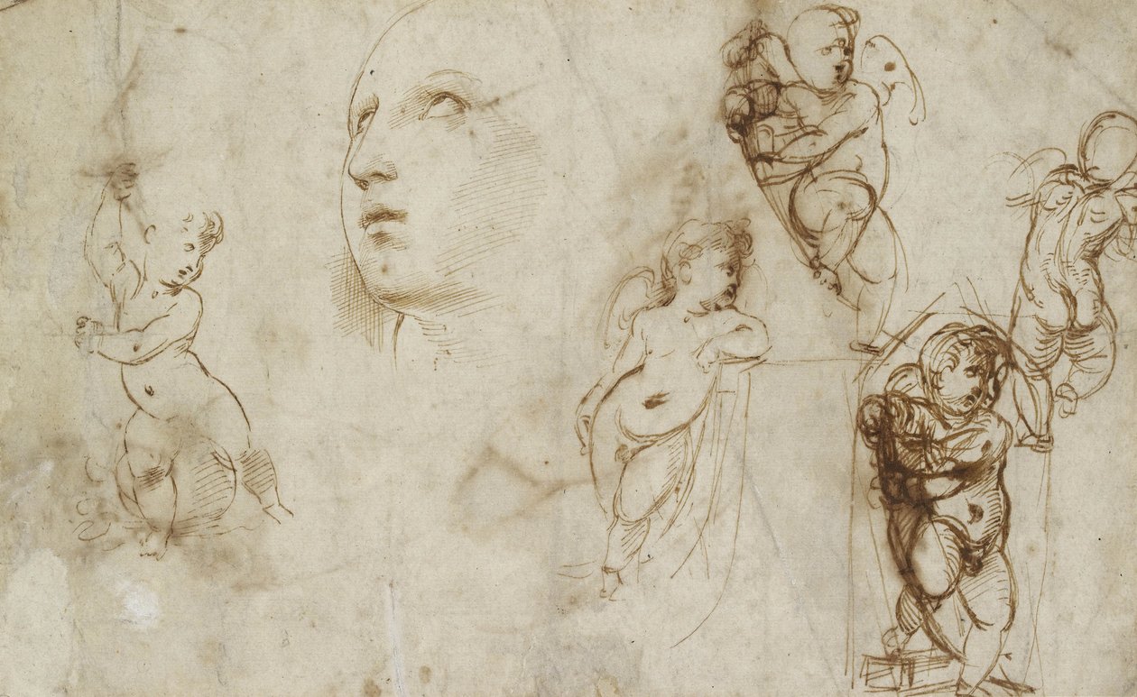Ulike studier, hovedsakelig for Borghese-Beckford St Catherine (penn og brunt blekk på off-white papir) av Raphael