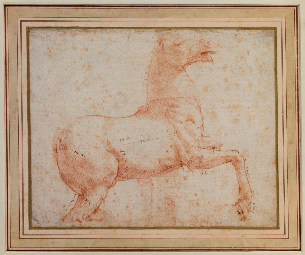 Studie av en av Quirinal marmorhestene, ca. 1515-17 av Raphael
