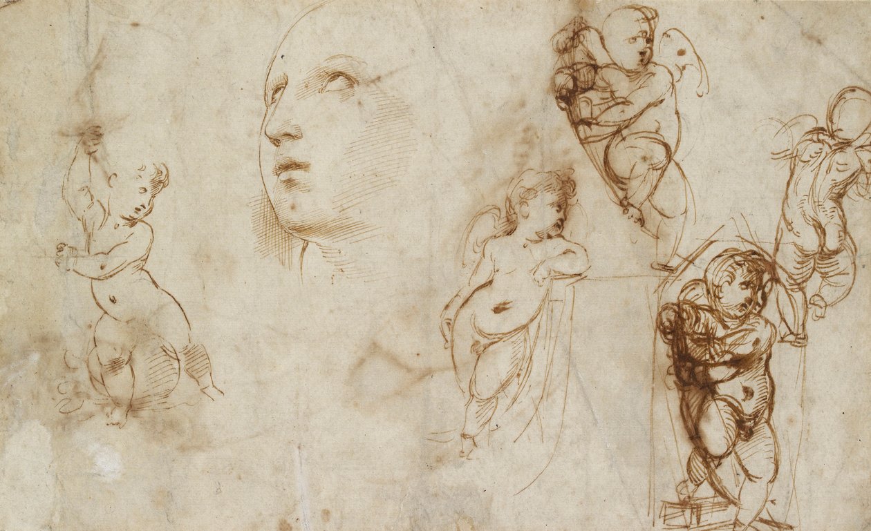 Ulike studier, hovedsakelig for Borghese-Beckford St Catherine, tidlig på 1500-tallet av Raphael