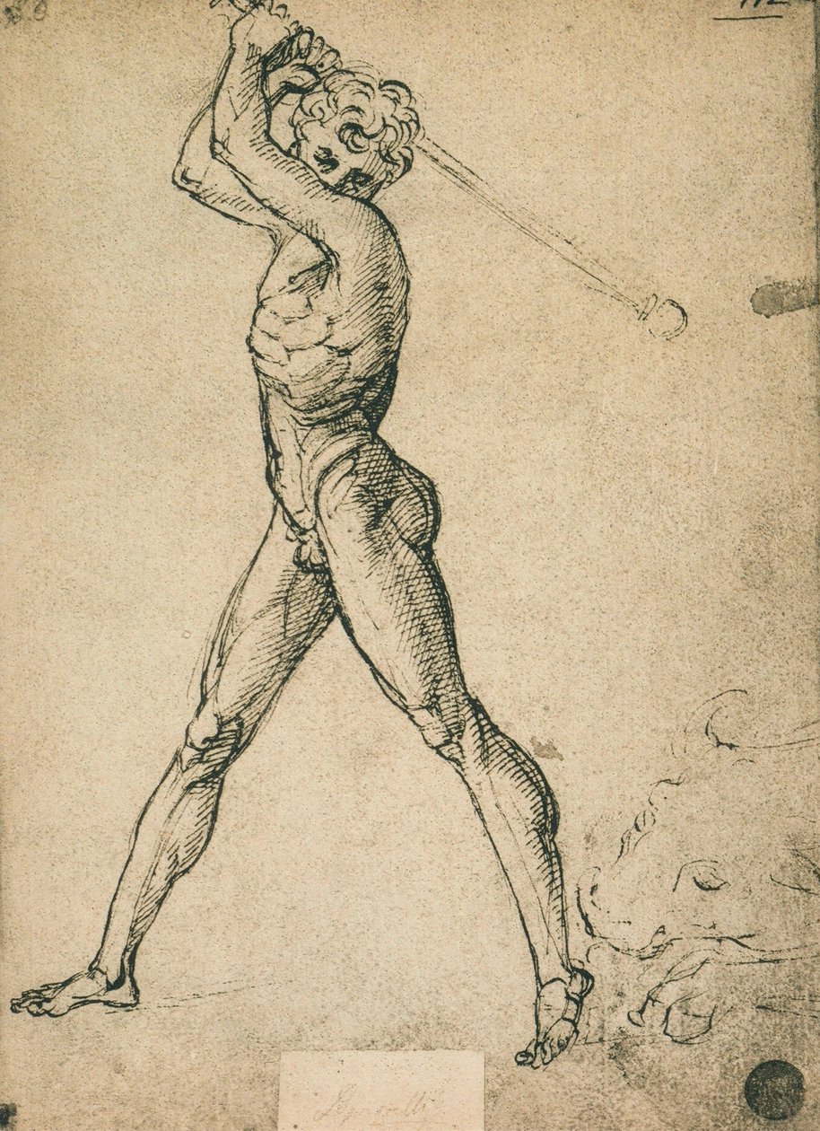 Hercules dreper oksen; tegning av Raphael. Gallerie dellAccademia, Venezia av Raffaello Sanzio Raphael