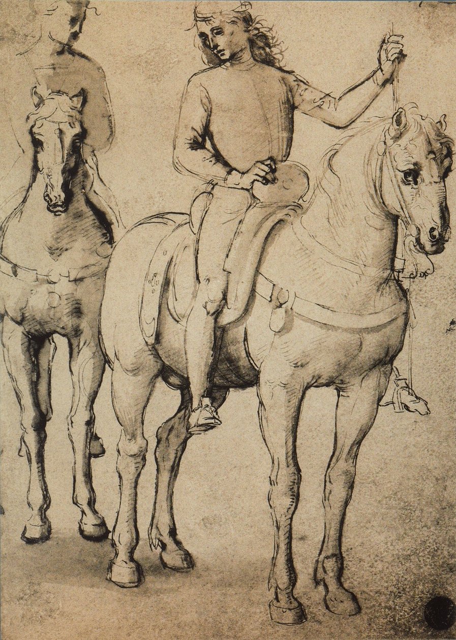 Menn hest; tegning av Raphael. Gallerie dellAccademia, Venezia av Raffaello Sanzio Raphael